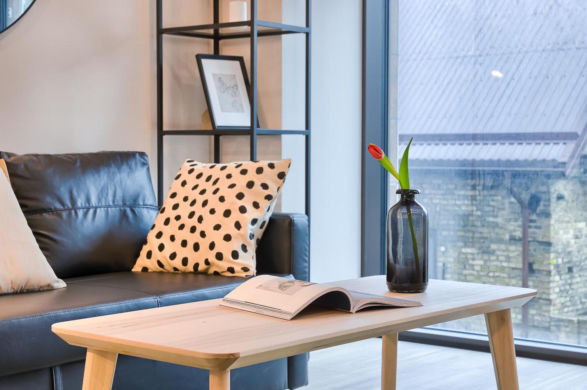 Business-Class Apartments 2 X Free Parking X Self Check In 24X7 ヴィリニュス エクステリア 写真